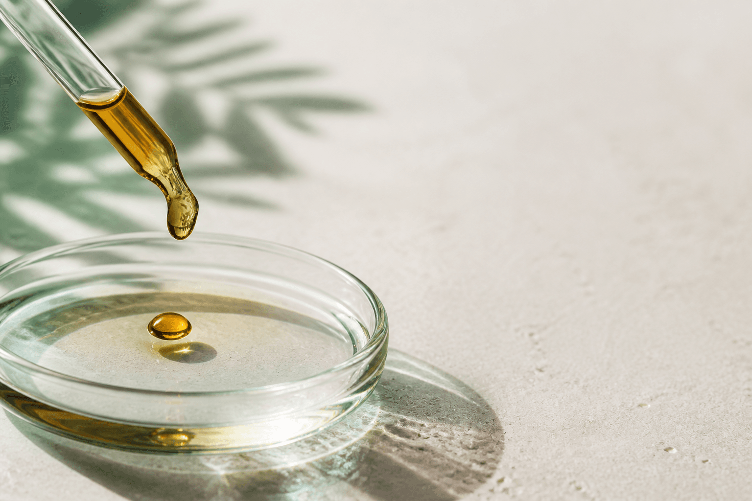 Essential oil drop in a laboratory dish