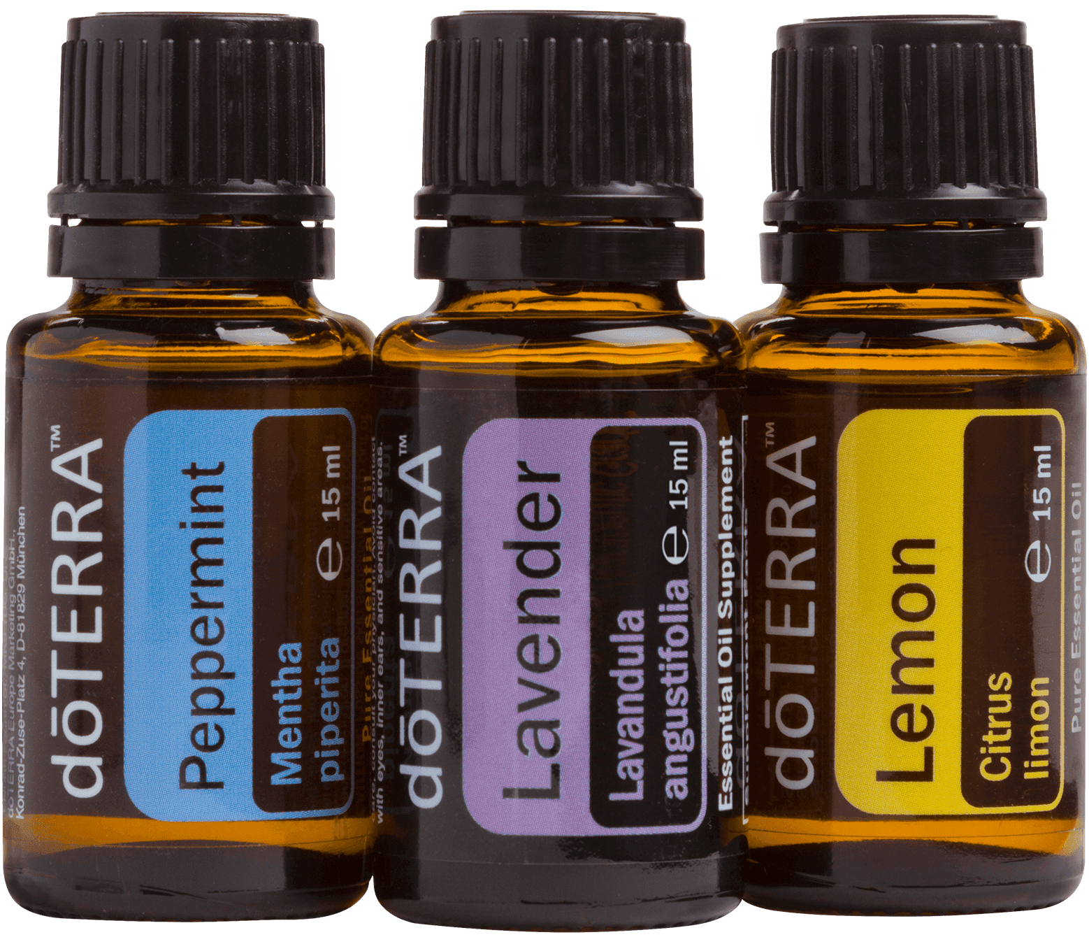 Beginner's Trio Kit